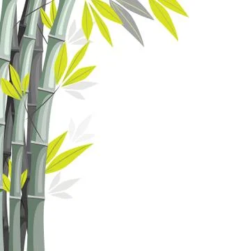 Bamboo isolated on white Illustrazione stock