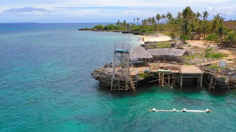 Bamboo jumping board, pristine sea water, paradisiac palm tree beach. Fly Vídeo Stock 128850280