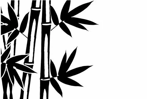 Bamboo Leaf Design  Stock Illustration