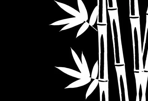 Bamboo Leaf Design  Stock Illustration