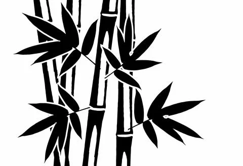 Bamboo Leaf Design  Stock Illustration