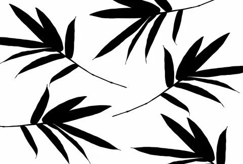 Bamboo Leaf Design  Illustrazione stock