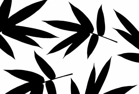 Bamboo Leaf Design  Illustrazione stock