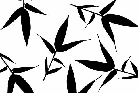 Bamboo Leaf Design  Illustrazione stock