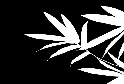 Bamboo Leaf Design  Illustrazione stock
