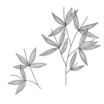 Bamboo leaves branch simple linear style vector outline illustration Stock Illustration
