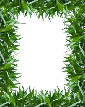 Bamboo leaves frame background Stock Photos