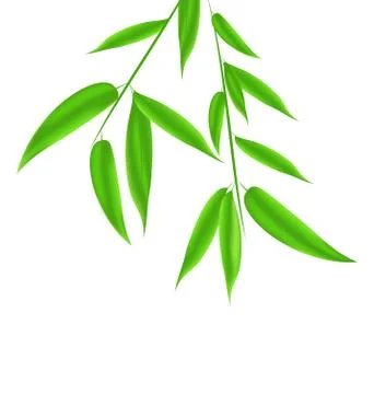 Bamboo leaves pattern with space for your text Stock Illustration