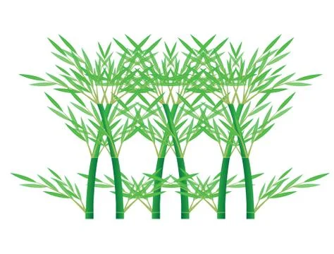 Bamboo leaves vector design Stock Illustration