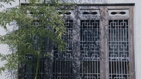 Bamboo, light and shadow, bamboo forest, charm, Hongcun, Huizhou architecture Stock Footage 260445364