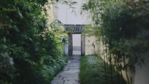 Bamboo, light and shadow, bamboo forest, charm, Hongcun, Huizhou architecture Stock Footage 260445464