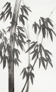Bamboo on a light background Stock Illustration
