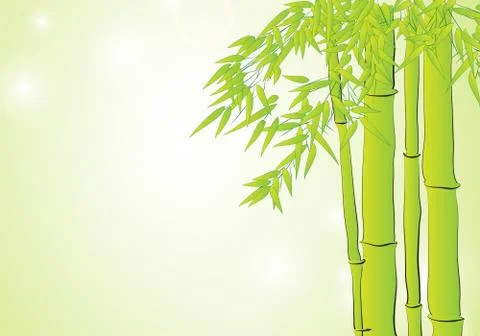 Bamboo in light green background Stock Illustration