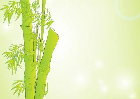 Bamboo in light green background Stock Illustration