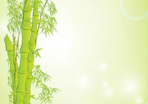Bamboo in light green background Stock Illustration