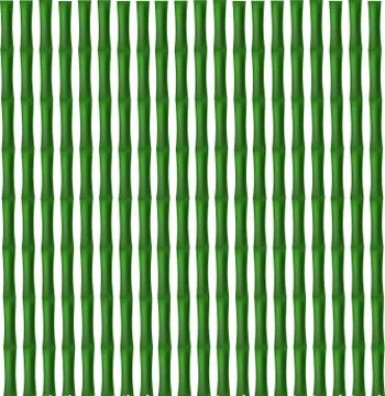 Bamboo lines - texture square background Stock Illustration