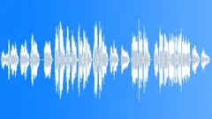 Bamboo meditation (Flute Solo)Stock Music