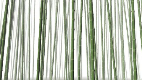 Bamboo moving in the wind animation Stock Footage 83434697