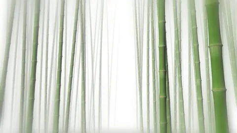 Bamboo moving in the wind animation Stock Footage 83434847