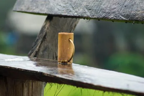 Bamboo mug Stock Photos