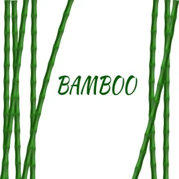 Bamboo nature simple frame Stock Illustration