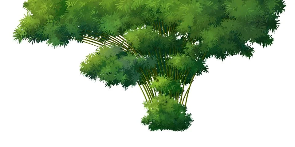 Bamboo on over with background Stock Illustration