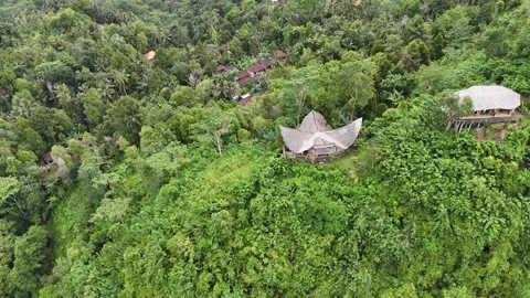 Bamboo palace in the sky Stock Footage 291110651