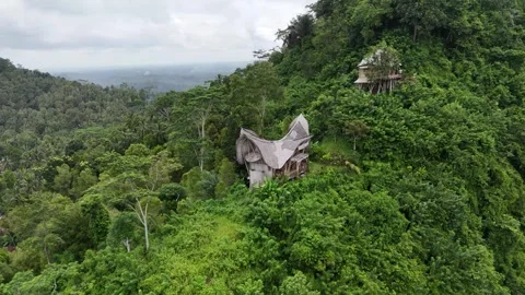 Bamboo palace in the sky Stock Footage 291110673