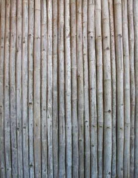 Bamboo panel background Foto stock