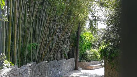 Bamboo pathway Japan Stock Photos