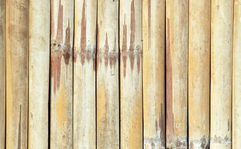 Bamboo pattern background Stock Photos