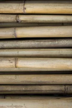 Bamboo pattern close up Stock Photos