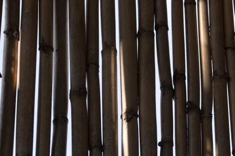 Bamboo pattern Stock Photos