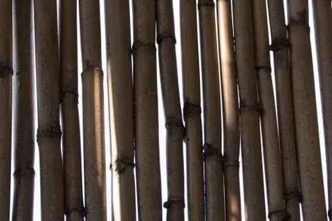 Bamboo pattern Stock Photos