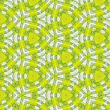 Bamboo pattern, spring background, effect camomile, yellow dandelion, grass, Stock Illustration