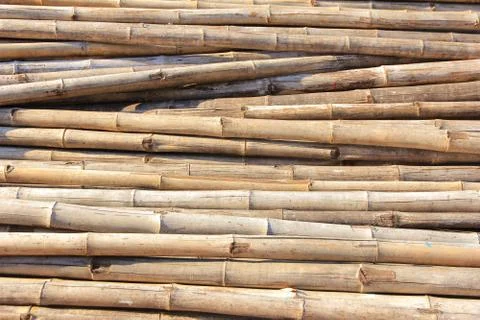 Bamboo Stock Photos