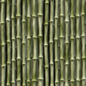 Bamboo Stock Photos