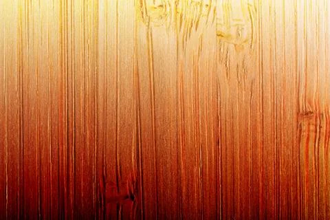 Bamboo Stock Photos