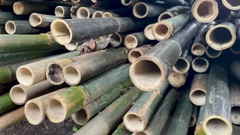 Bamboo pile at the end and base in a circular shape, natural bamboo texture. Stock Footage 336158893