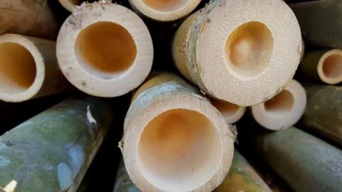 Bamboo piles, the basic ingredients of various household handicrafts 写真素材