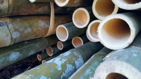 Bamboo piles, the basic ingredients of various household handicrafts 写真素材