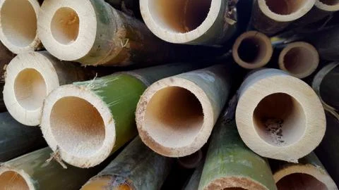 Bamboo piles, the basic ingredients of various household handicrafts 写真素材