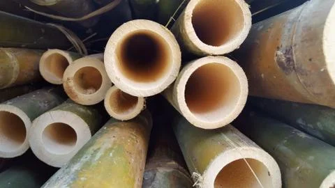 Bamboo piles, the basic ingredients of various household handicrafts 写真素材