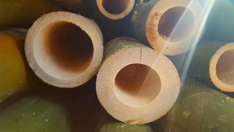 Bamboo piles, the basic ingredients of various household handicrafts 写真素材