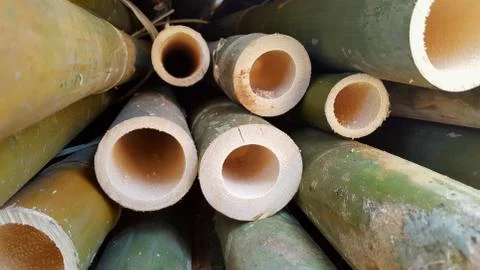 Bamboo piles, the basic ingredients of various household handicrafts Stock Photos