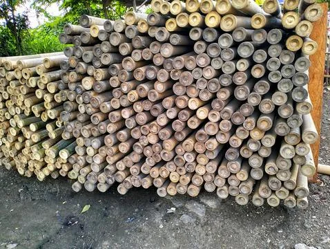 Bamboo piles Stock Photos
