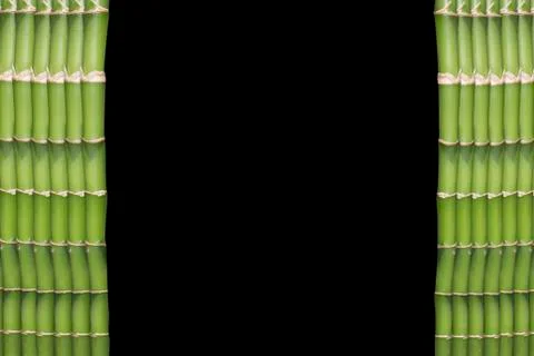 Bamboo with place for text Stock Photos