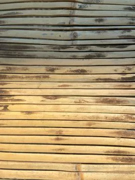 Bamboo plank texture background. Stock Photos
