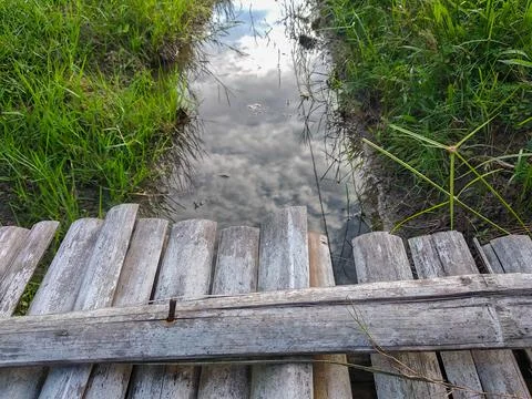 Bamboo planks form a simple bridge across a narrow stream Stock Photos