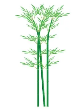 Bamboo plant vector design Stock Illustration